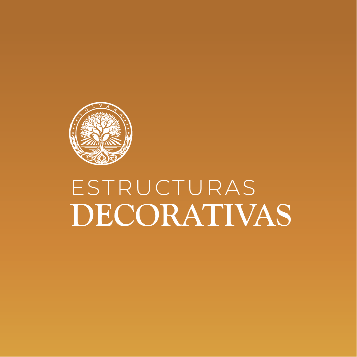 Cuadrados_SER_Mesa de trabajo 1
